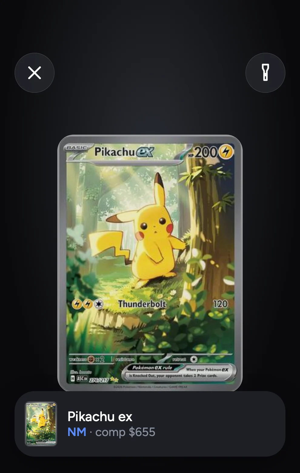 Margin's camera with a Pikachu ex in the frame: near mint, comp $655